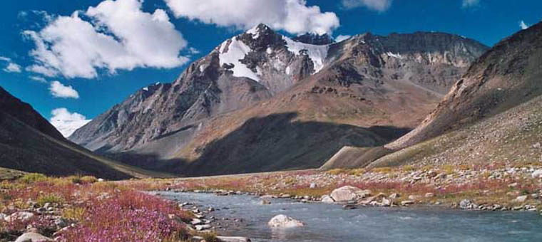 Ladakh zanskar nature trekking.jpg