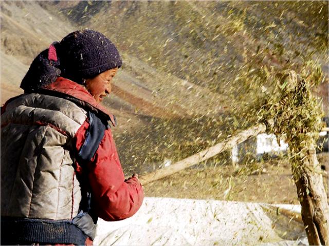 Femme du Zanskar.jpg