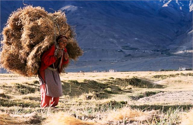 Femme du Zanskar (3).jpg