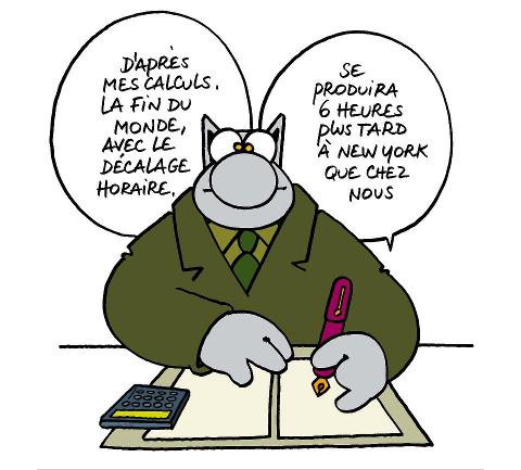 Le chat.jpg