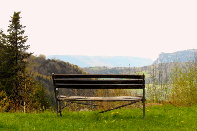 Vue sur le calme.JPG