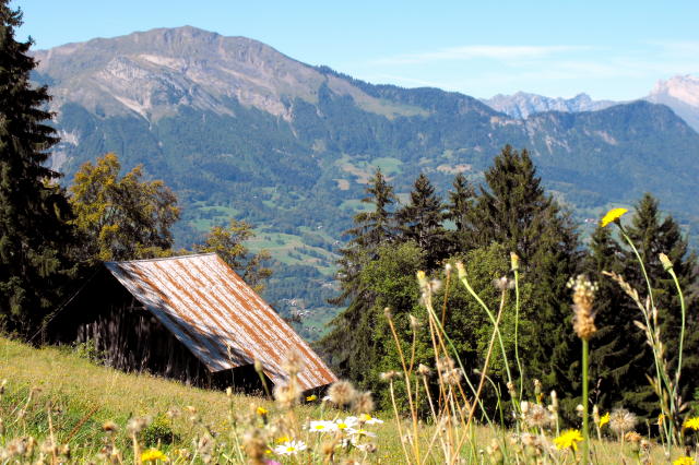 Calme en montagne.JPG