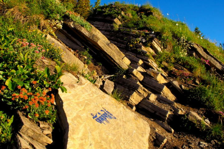 Mani mantra sur sentier.jpg