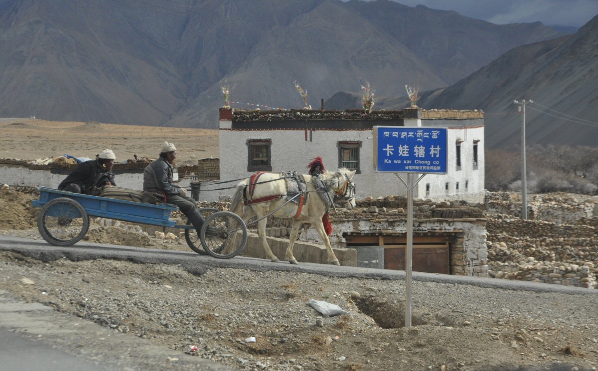 Des maisons typiques avec leurs réserves de bouses de yacks...