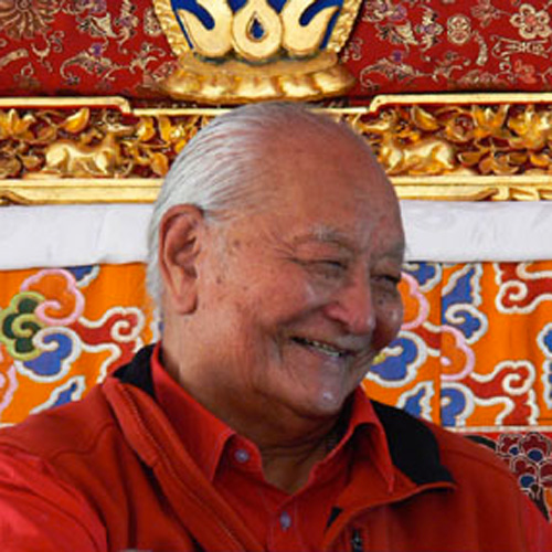 CHOGYAL_NAMKHAI_NORBU_RINPOCHE.jpg