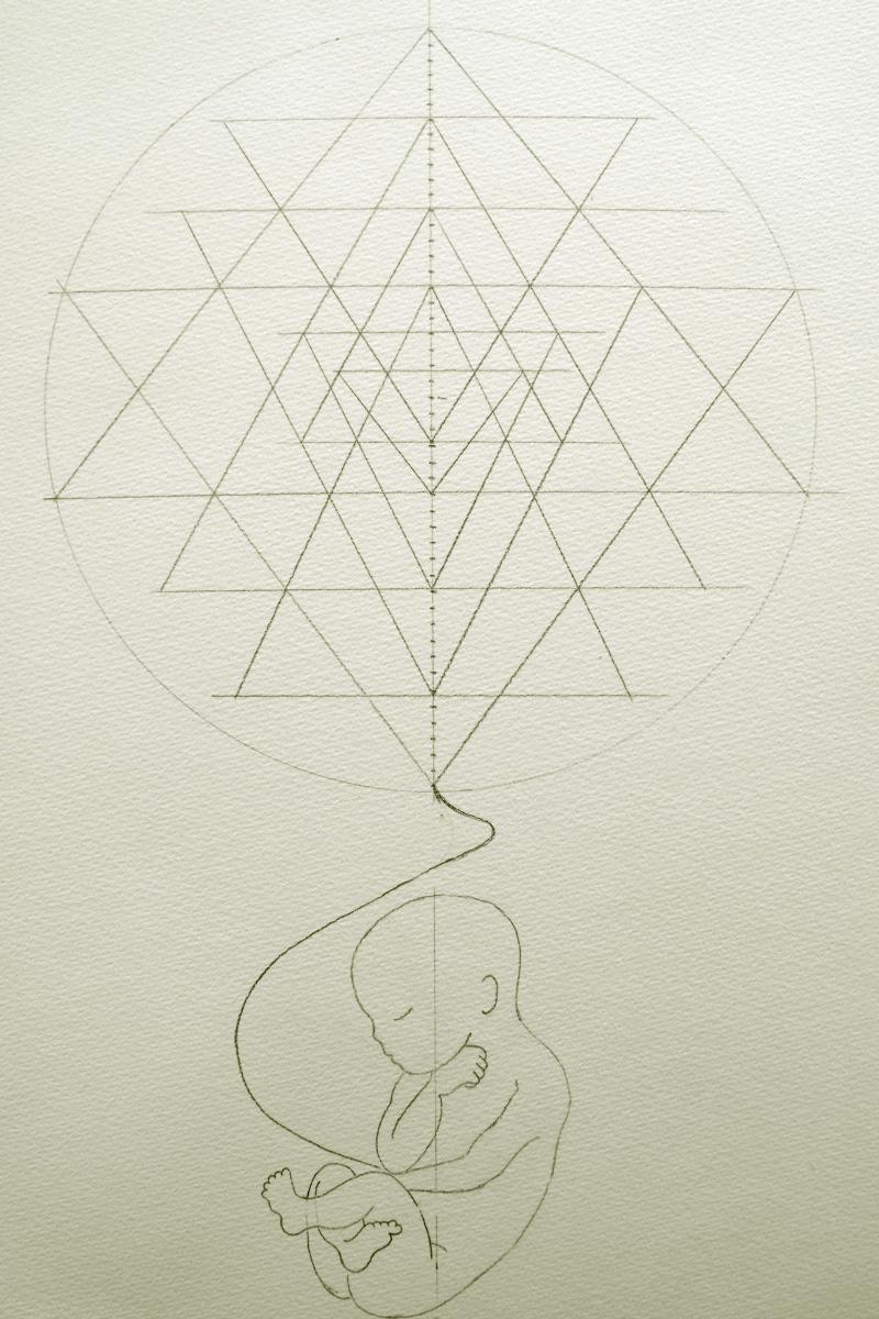 ?r?yantra & foetus.jpg