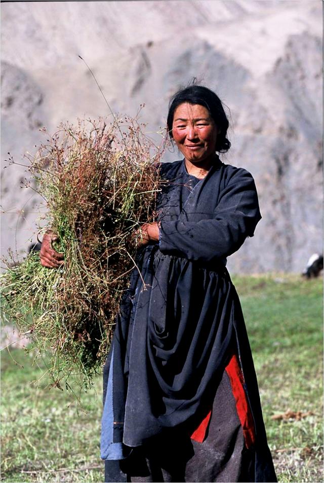 Femme du Zanskar (2).jpg