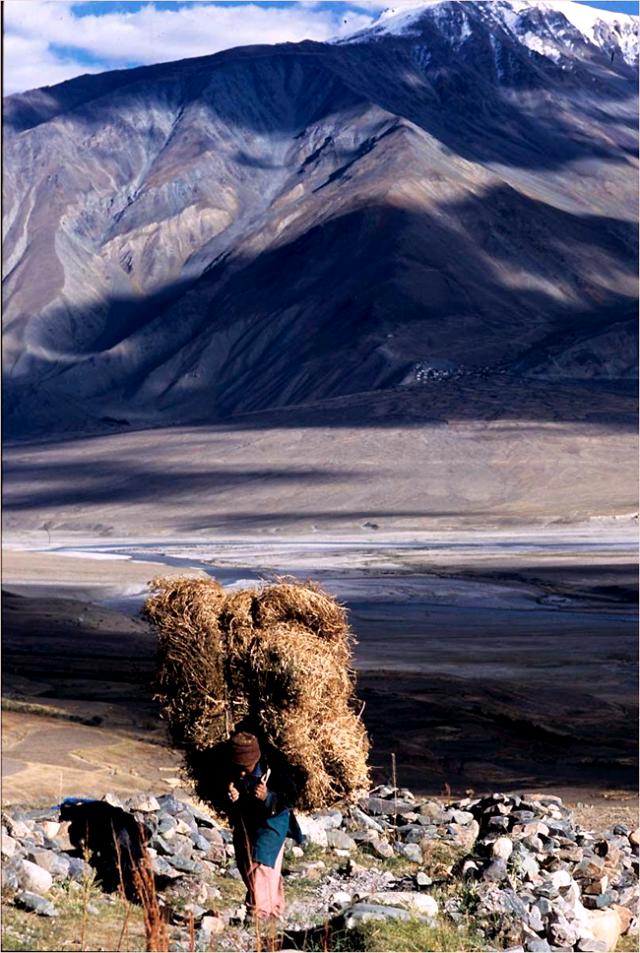 Femme du Zanskar (1).jpg