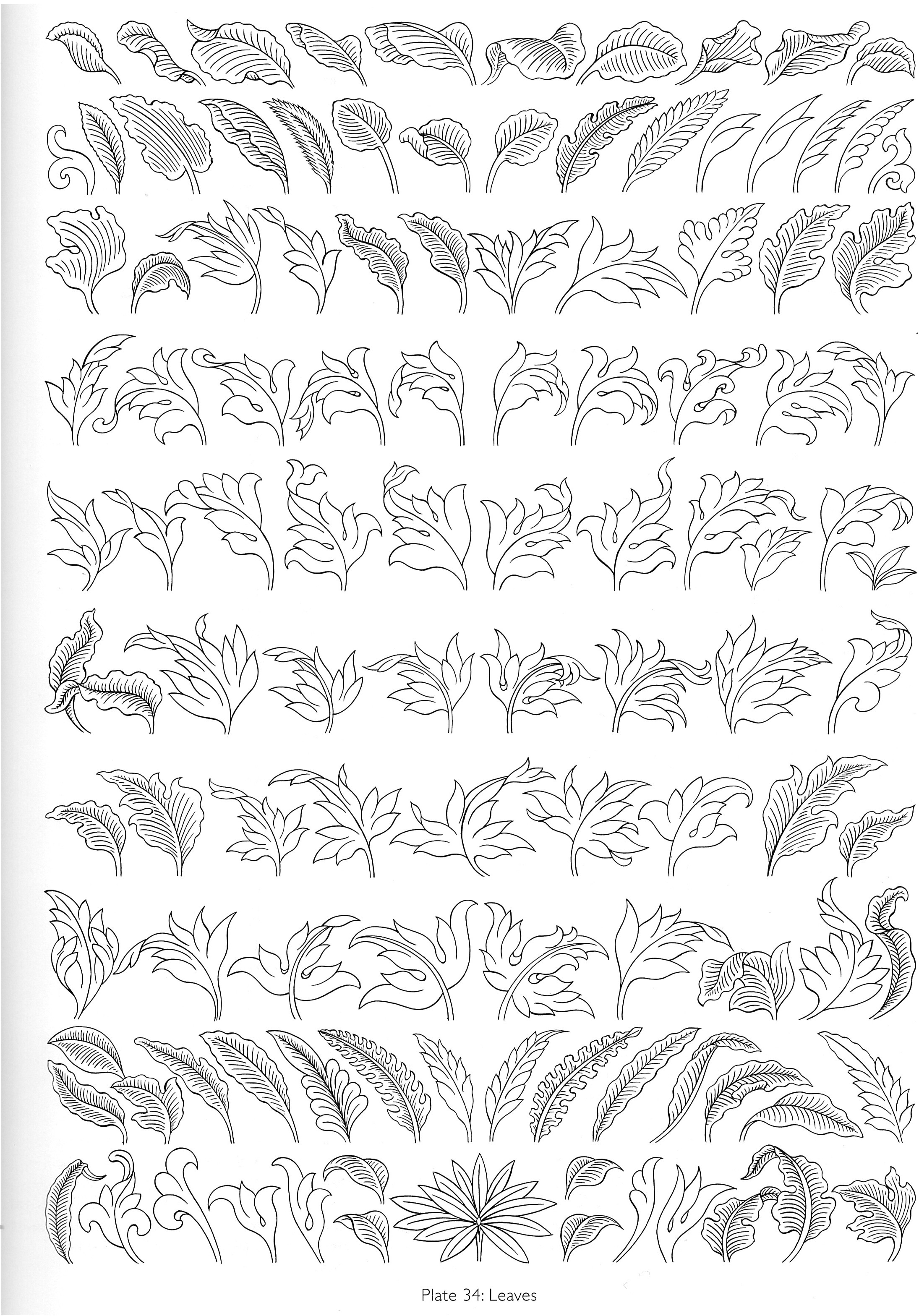 Robert Beer - planche 34 - feuilles.jpeg