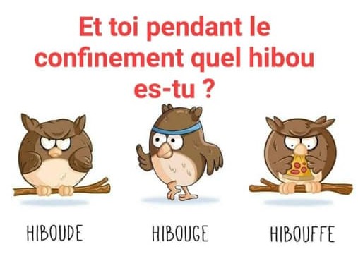 Hibou.jpg